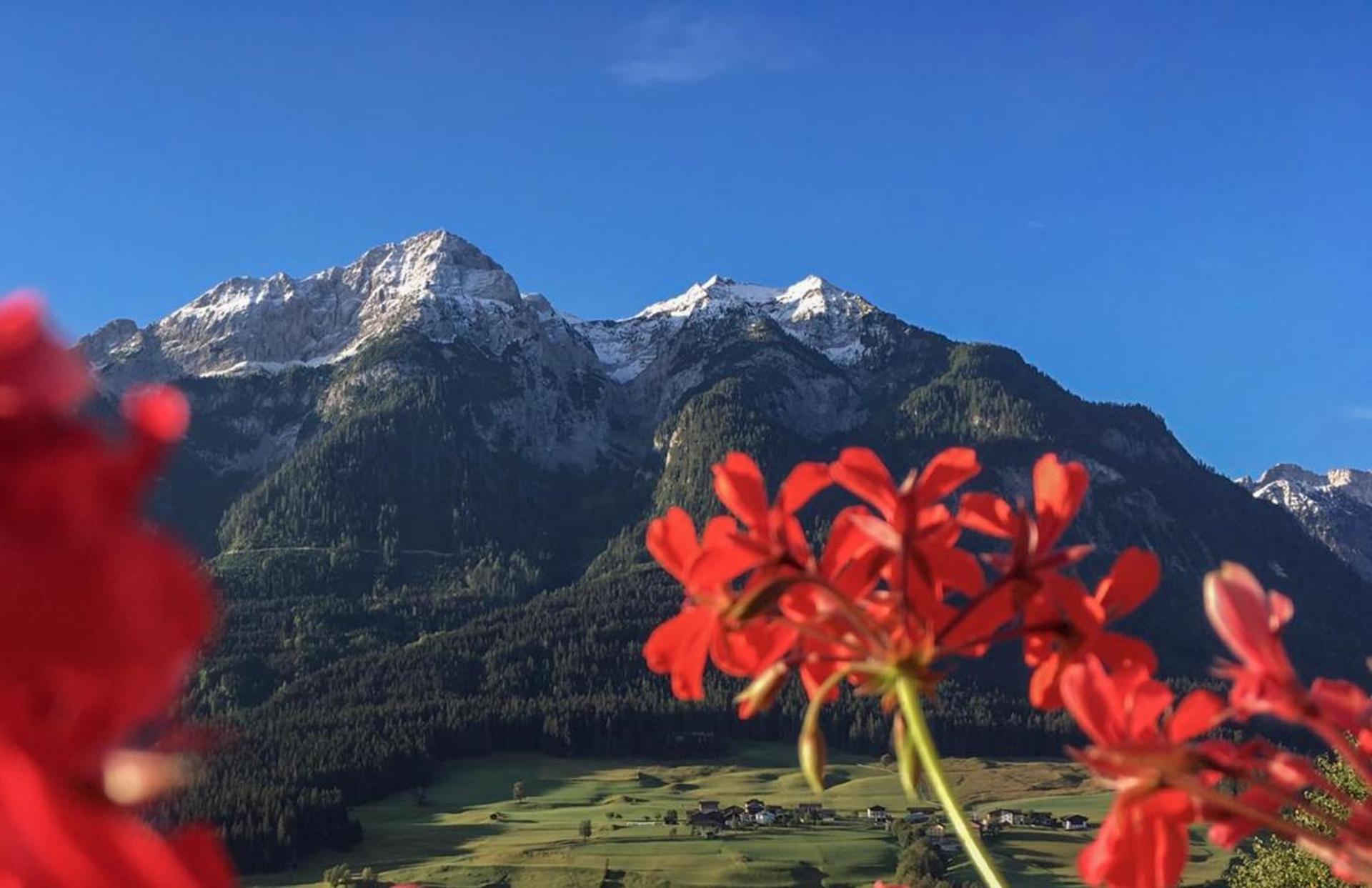Rennerhof - Ferienwohnung Im Lesachtal Birnbaum Eksteriør billede